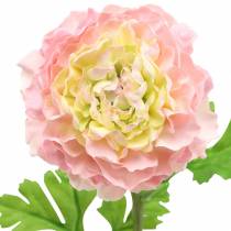 tételeket Ranunculus rózsaszín H45cm