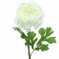 tételeket Ranunculus fehér H45cm