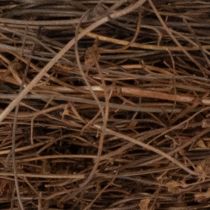 tételeket Természetes szőlőtőke koszorú Ø15cm, 10 darabos készlet - Ideális őszi, karácsonyi, húsvéti és temetési dekorációkhoz