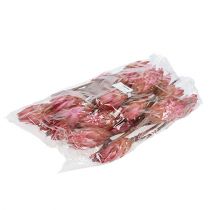 tételeket Repens Erika 25 db