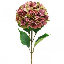 Hortenzia műrózsaszín, bordeaux művirág nagy 80cm
