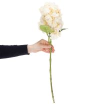 tételeket Műhortenzia virág, kiváló minőségű, dekoratív lakóterekbe, 62cm