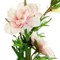 Larkspur Delphinium világos rózsaszín 95 cm
