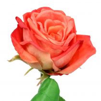 Rózsa művirág lazac 67,5cm