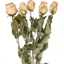 Díszrózsák, szárított virág, szárított rózsa, Valentin nap, temetési virágok, rusztikus rózsák sárga-rózsaszín L48cm 5db
