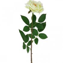 tételeket Műrózsa, díszrózsa, selyemvirág krémfehér, zöld L72cm Ø12cm
