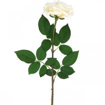 Krémes fehér sárgabarack rózsa, selyemvirág, műrózsák L72cm Ø12cm