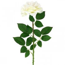 tételeket Selyemvirág, rózsa száron, műnövény krémfehér, rózsaszín L72cm Ø13cm