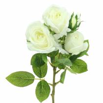tételeket Rózsa fehér 40 cm