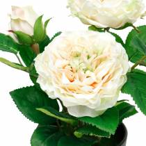 Bazsarózsa cserépben, romantikus dekoratív rózsa, krémfehér selyemvirág