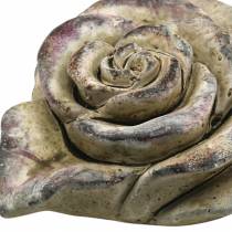 Beton rózsa szív szürke, lila Ø13 H5cm 3db