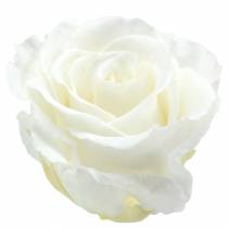 tételeket Infinity rózsák nagy Ø5,5-6cm fehér 6db