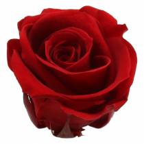 Tartósított rózsa közepes Ø4-4,5cm piros 8db