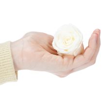 tételeket Tartósított Rózsafejek, Tartós Asztaldísz Romantikus Hangulathoz, Esküvői Dekoráció, 5cm, 6 Darab