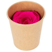 tételeket Tartósított Rózsadekorációk, Valódi Virágok Asztaldíszítésre, Egyedi és Fenntartható Virágok, 5 cm, 6 Darab