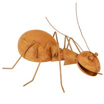 tételeket Rozsda dekoráció Hangya fém dekoráció Rozsdafigura Kert 21,5cm