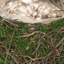 tételeket Szőlőtőkéből készült kerek ültetőtál mohával és fóliával díszítve