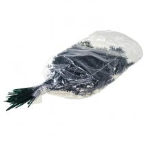 tételeket Ruscus zöld dekoratív ágak sötétzöld 75-95cm 1kg