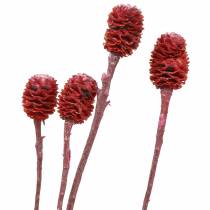 Deco ágak Sabulosum red matt 4-6 25 db