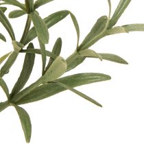 tételeket Zsálya cserépben Salvia Lavandulifolia Artificial H25cm