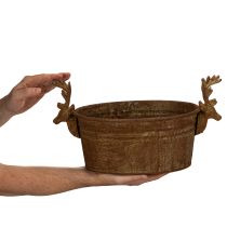 tételeket Dekoratív tál, rénszarvasfej, ovális, rozsdaszínű, rusztikus, 41cm