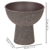tételeket Kerek virágtál talppal, 18 cm