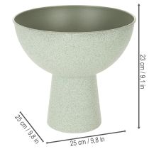 tételeket Tál növénytartóval, dísztál, 25cm