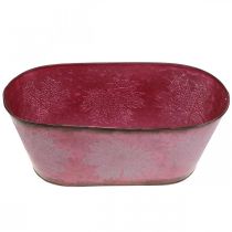tételeket Tál levéldíszítéssel, ültetvényes, őszi díszítéssel, fém fazék borvörös L38cm H15cm