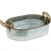 tételeket Növénycserép fülekkel, gyógynövényes tál, elrendezés alapja ezüst, barna L39/35,5/32 cm H10/8,5/7 cm 3 db-os készlet