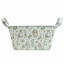 tételeket Jardiniere ültetőgép fém 20×12,5×10cm