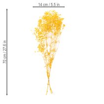 tételeket Szárított virágcsokor babalevessel. Dekoratív, virágzó ágak, amelyek alkalmasak szezonális asztaldísznek. 70 cm