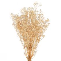 tételeket Gypsophila Árvácska Gipszfű Fehér virágok 50cm 55g