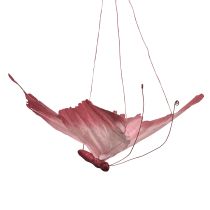 tételeket Nagy Függő Pillangó Dekoráció, Elegáns Fali Dekoráció, 50cm, 2 Darab