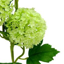 tételeket Hógolyó műzöld 65cm 2db