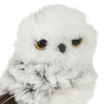 tételeket Hóbagoly Dekoratív Figura, Bagoly Pár, Fehér És Barna, 12 cm Magas, 2 Darab