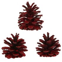 tételeket Fekete fenyőtoboz Bordeaux dísztoboz piros 6-8cm 6 db