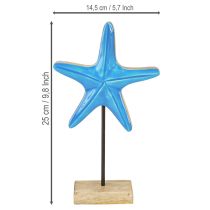 tételeket Tengeri csillag díszítés tengeri natúrkék fa alapon H25cm