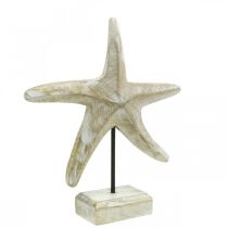 Tengeri csillag, tengeri fa dekoráció natúr színű, fehér H23,5cm
