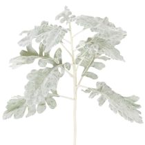 tételeket Mesterséges Senecio ág, ezüstlevél, aggófű, részletes, 45cm, 3 darab