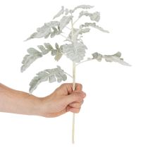 tételeket Mesterséges Senecio ág, ezüstlevél, bonyolult kidolgozású, 45 cm, 3 darab