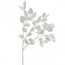 Dekoratív ág ezüstlevél fehér Lunaria ág műág 70cm