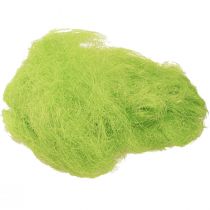 tételeket Szizál tavaszzöld díszfű 300g