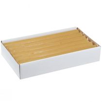 tételeket Kúpos gyertyák egyszínű gyertyák méz 21×240mm 12 db