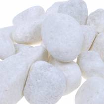 tételeket River Pebbles Natural White 3-5cm 1kg