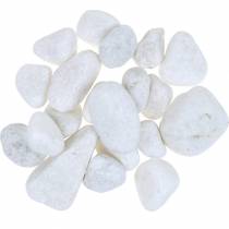 tételeket River Pebbles Natural White 3-5cm 1kg