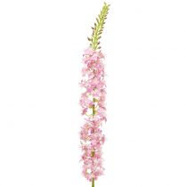 tételeket Desert tail steppe gyertya rózsaszín 106cm