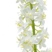 tételeket Sivatagi farok fehér 106 cm