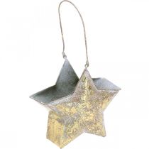 tételeket Dekoratív csillag fém akasztáshoz és díszítéshez Golden Ø13cm