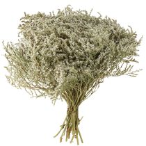 tételeket Szárított virágok strand levendula Statice 2kg természetes dekoráció