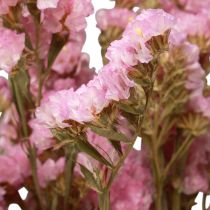 tételeket Strand Lila Pink Limonium Szárított Virágok 60cm 50g